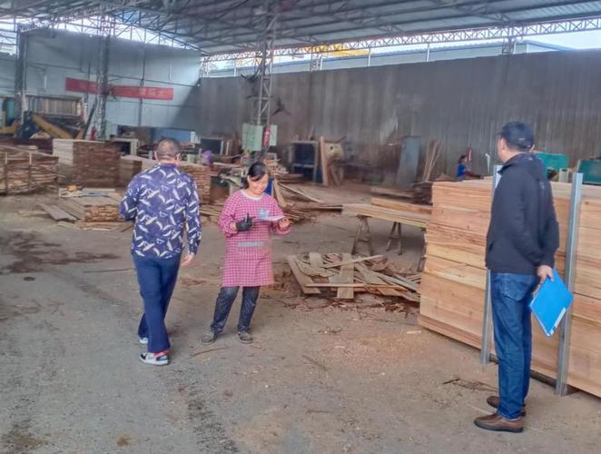 芦山县林业局开展木材加工厂安全生产检查