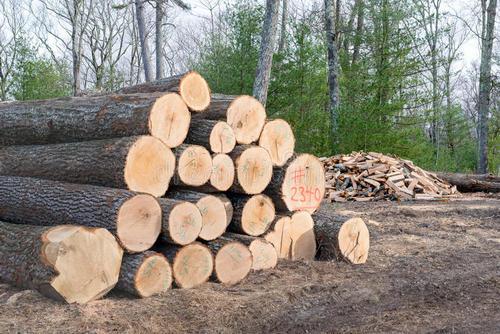 为了更好的使用市场的发展,西方国家慢慢出现了专门的木材加工工厂,为