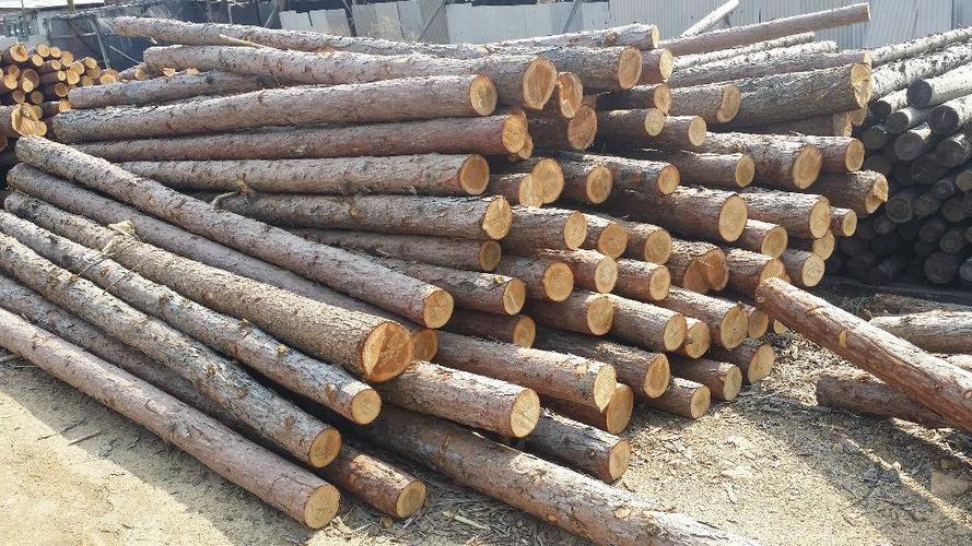 木板加工-木材产业网