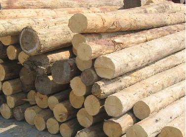 原木_产品展示_西安聚源木材加工厂
